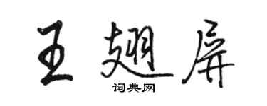 骆恒光王翅屏行书个性签名怎么写