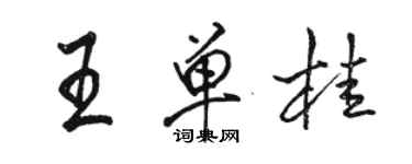骆恒光王单桂行书个性签名怎么写