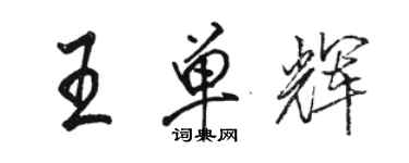 骆恒光王单辉行书个性签名怎么写