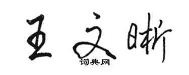 骆恒光王文晰行书个性签名怎么写