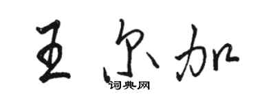 骆恒光王尔加行书个性签名怎么写