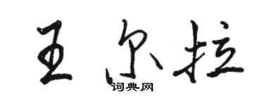 骆恒光王尔拉行书个性签名怎么写