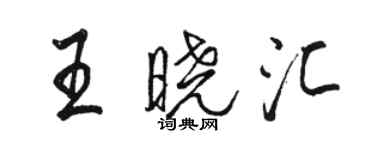 骆恒光王晓汇行书个性签名怎么写