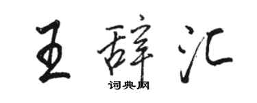 骆恒光王辞汇行书个性签名怎么写
