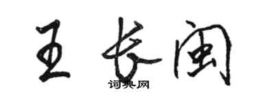 骆恒光王长闽行书个性签名怎么写