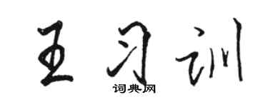骆恒光王习训行书个性签名怎么写