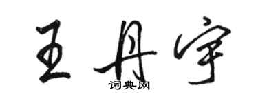 骆恒光王丹宇行书个性签名怎么写