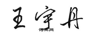 骆恒光王宇丹行书个性签名怎么写