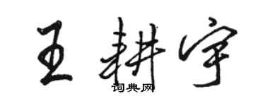骆恒光王耕宇行书个性签名怎么写