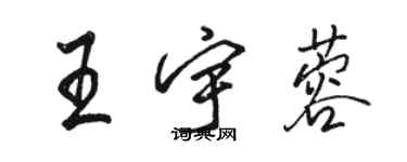 骆恒光王宇蓉行书个性签名怎么写
