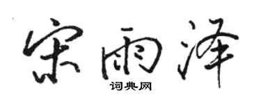 骆恒光宋雨泽行书个性签名怎么写