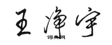 骆恒光王净宇行书个性签名怎么写