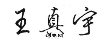 骆恒光王真宇行书个性签名怎么写