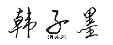 骆恒光韩子墨行书个性签名怎么写
