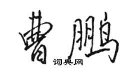 骆恒光曹鹏行书个性签名怎么写