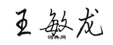 骆恒光王敏龙行书个性签名怎么写