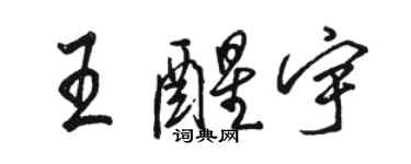 骆恒光王醒宇行书个性签名怎么写