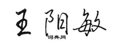 骆恒光王阳敏行书个性签名怎么写