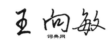 骆恒光王向敏行书个性签名怎么写