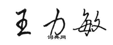 骆恒光王力敏行书个性签名怎么写