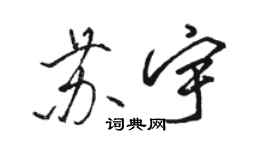 骆恒光苏宇行书个性签名怎么写