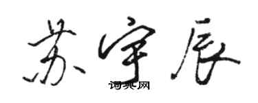 骆恒光苏宇辰行书个性签名怎么写