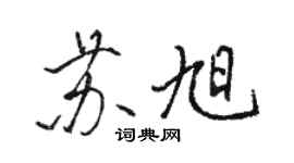 骆恒光苏旭行书个性签名怎么写
