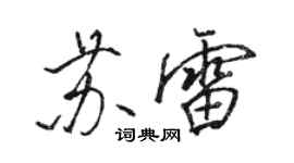 骆恒光苏雷行书个性签名怎么写