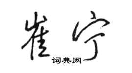 骆恒光崔宁行书个性签名怎么写