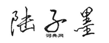 骆恒光陆子墨行书个性签名怎么写