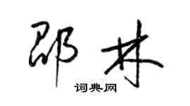 梁锦英邵林草书个性签名怎么写