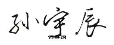 骆恒光孙宇辰行书个性签名怎么写