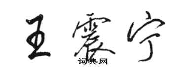 骆恒光王震宁行书个性签名怎么写