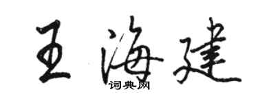 骆恒光王海建行书个性签名怎么写