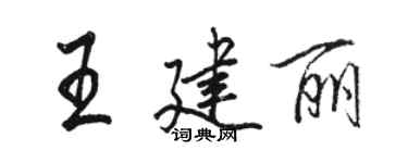 骆恒光王建丽行书个性签名怎么写
