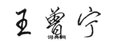 骆恒光王曾宁行书个性签名怎么写