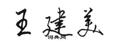 骆恒光王建美行书个性签名怎么写