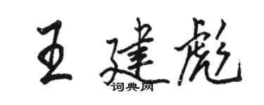 骆恒光王建彪行书个性签名怎么写