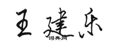 骆恒光王建乐行书个性签名怎么写