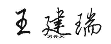 骆恒光王建瑞行书个性签名怎么写