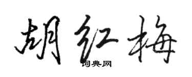骆恒光胡红梅行书个性签名怎么写