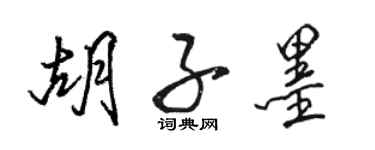 骆恒光胡子墨行书个性签名怎么写
