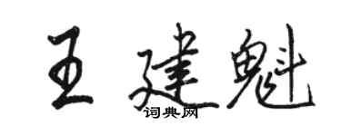 骆恒光王建魁行书个性签名怎么写