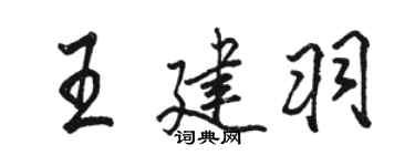 骆恒光王建羽行书个性签名怎么写