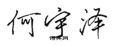 骆恒光何宇泽行书个性签名怎么写