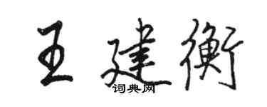 骆恒光王建衡行书个性签名怎么写