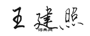 骆恒光王建照行书个性签名怎么写
