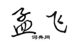 骆恒光孟飞行书个性签名怎么写