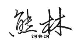 骆恒光熊林行书个性签名怎么写