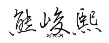 骆恒光熊峻熙行书个性签名怎么写